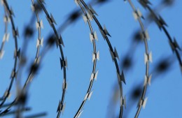 Düzlemsel Jiletli Teller